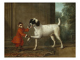 Poodles Posters