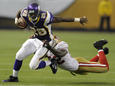 Minnesota Vikings Posters