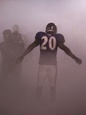 Ed Reed (Ravens) Posters