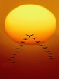 Sun Posters