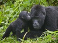 Uganda Posters