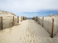 Dunes de sable Posters