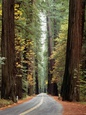 David Muench Posters