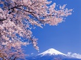Fuji Poster
