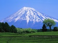Mont Fuji Posters