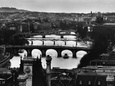 Peter Turnley Posters