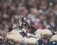 Sports Autographed Photography Posters