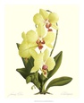 James Linton Sain Posters