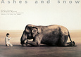 Tiere Poster