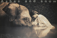 Animals (Sepia-Tone Photography) Posters