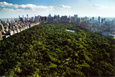 Central Park Posters