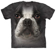 French Bulldogs Posters