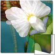 Art on acrylic Posters