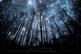 Imagination Posters