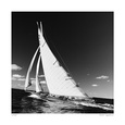 Limited Edition Giclee Posters