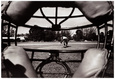 Baseball (Photographie) Posters