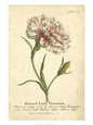 Flowers (Vintage Art) Poster