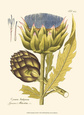Flowers (Vintage Art) Posters