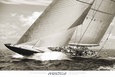 Coupe de l'America Posters