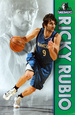 Minnesota Timberwolves Posters