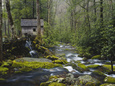 Great Smoky Mountain National Park Posters