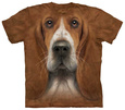 Basset Hounds Poster