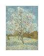 Pêcher en fleurs (van Gogh) Posters