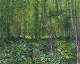 Landscapes (van Gogh) Posters