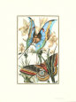 Butterfly II Lámina por William Henry Pearson