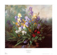 Landscape with Irises Art Print by Barbara Koch