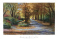 Chestnut Trees Posters