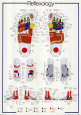 Reflexología Póster
