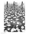 Ponds (Fine Art) Poster