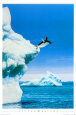 Pinguin Poster