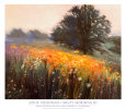 Misty Morning III Art Print by Jon R. Friedman
