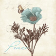 Katie Pertiet Posters