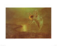 Spirit of the Night Lámina por John Atkinson Grimshaw
