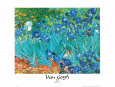 Irises, c.1889 Art Print by Vincent van Gogh