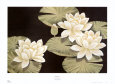 White Lotus Lámina por Bali Island Design