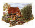 Cottage by the Pond Art Print by Barbara Norris