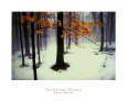 Quiet Woods Art Print by David Winston
