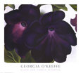Pétunias noir et rouge Reproduction d'art par Georgia O'Keeffe