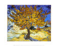 Árbol de Mulberry, ca. 1889 Lámina por Vincent van Gogh