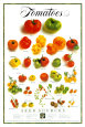 Fruits & Vegetables Poster