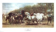 Horses (Fine Art) Posters