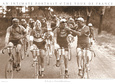 Cyclisme / V.T.T. Posters