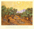 Olive Trees, c.1889