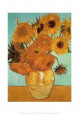Girasoles Posters