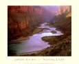 Grand Canyon Kunsttryk af Joseph Holmes
