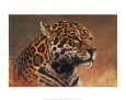 Jaguar Lámina por Kalon Baughan